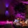 Philips Hue White & Color Ambiance LED Wandleuchte Appear in Schwarz 2x 16W 2400lm 3er Pack