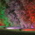 Smartes Zigbee LED Spot Starter Set Flores RGBW in Schwarz 3x 4,5W 1770lm IP44